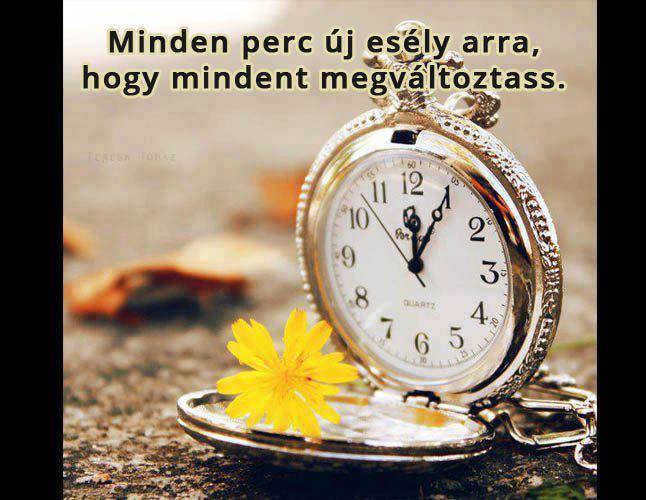 10307209_630579900364624_2332246953419024666_n